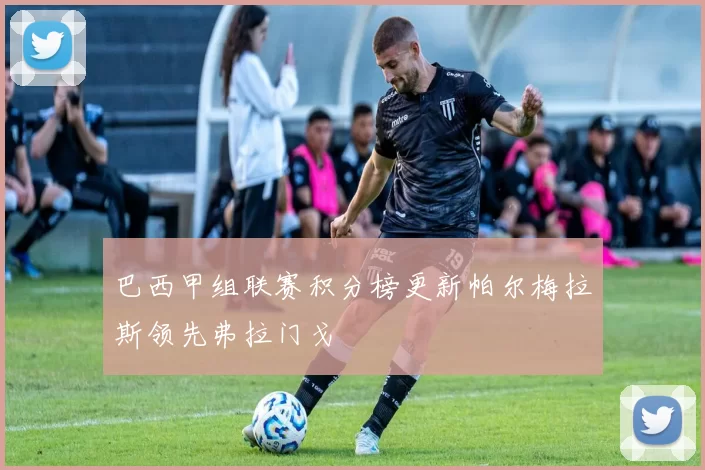 巴西甲组联赛积分榜更新帕尔梅拉斯领先弗拉门戈