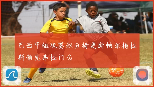 巴西甲组联赛积分榜更新帕尔梅拉斯领先弗拉门戈